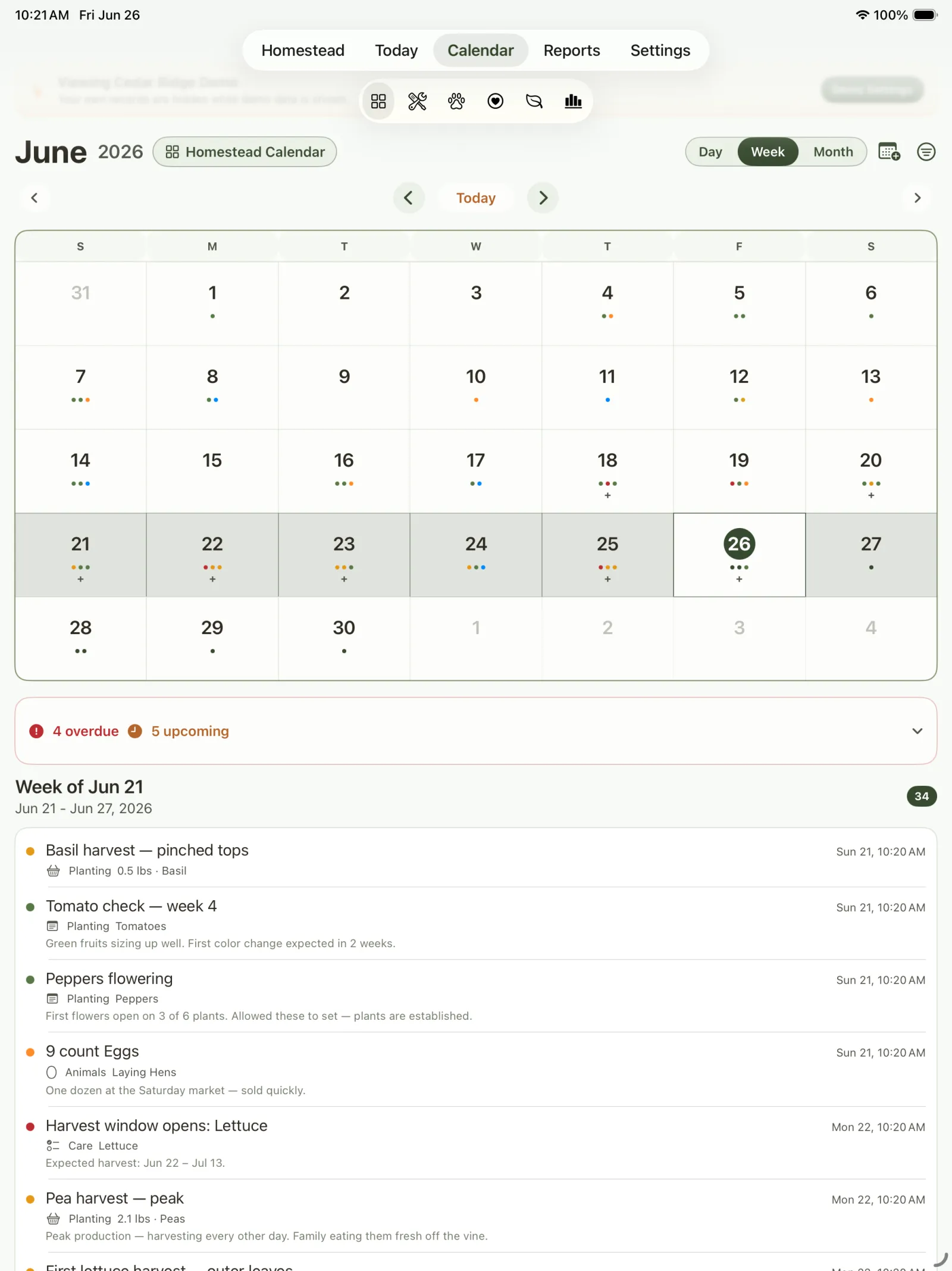 Calendar view showing a highlighted week and matching task list.
